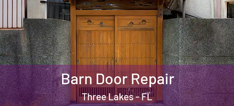 Barn Door Repair Three Lakes - FL