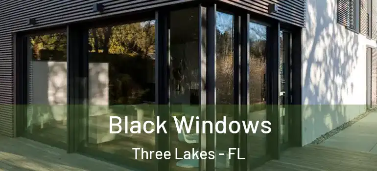 Black Windows Three Lakes - FL