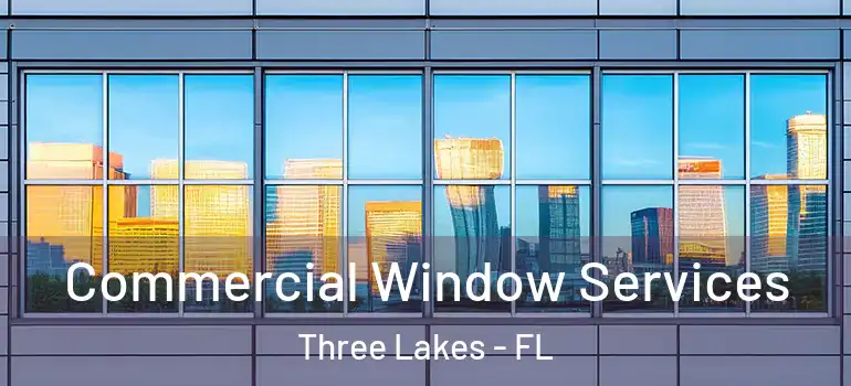 Commercial Window Services Three Lakes - FL