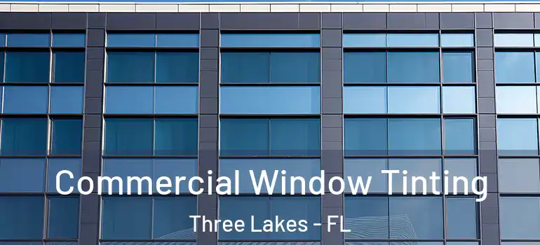Commercial Window Tinting Three Lakes - FL