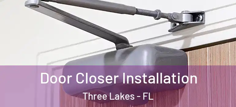 Door Closer Installation Three Lakes - FL