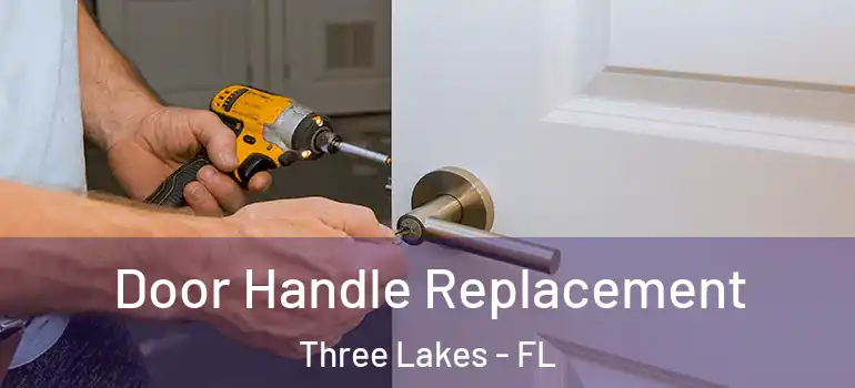 Door Handle Replacement Three Lakes - FL