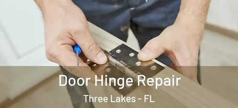 Door Hinge Repair Three Lakes - FL