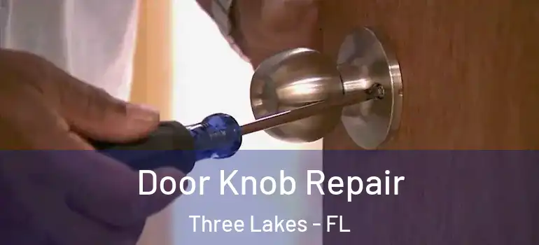 Door Knob Repair Three Lakes - FL
