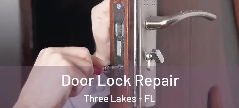 Door Lock Repair Three Lakes - FL