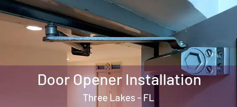 Door Opener Installation Three Lakes - FL