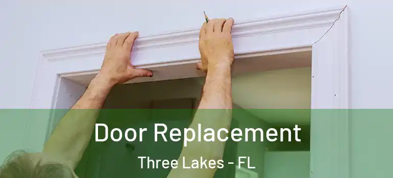 Door Replacement Three Lakes - FL