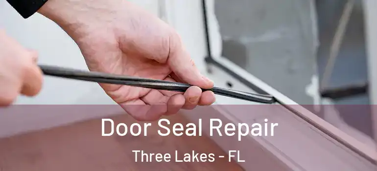 Door Seal Repair Three Lakes - FL