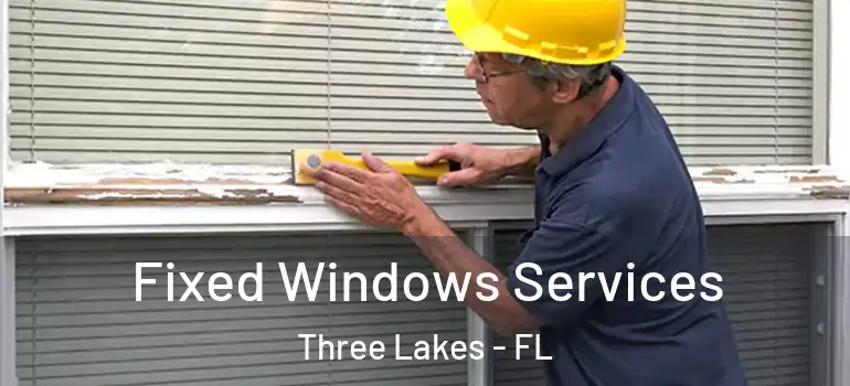 Fixed Windows Services Three Lakes - FL