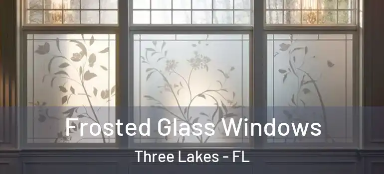 Frosted Glass Windows Three Lakes - FL