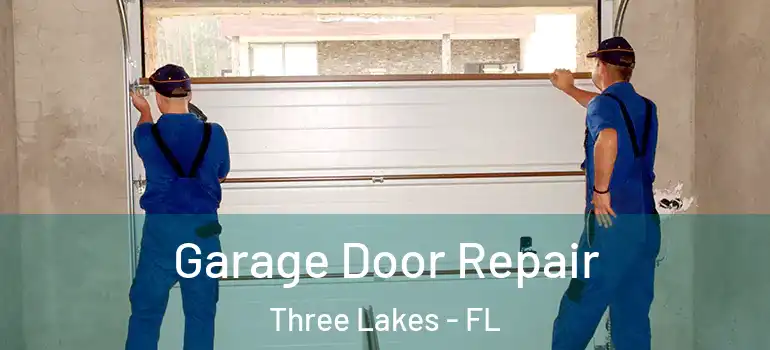 Garage Door Repair Three Lakes - FL