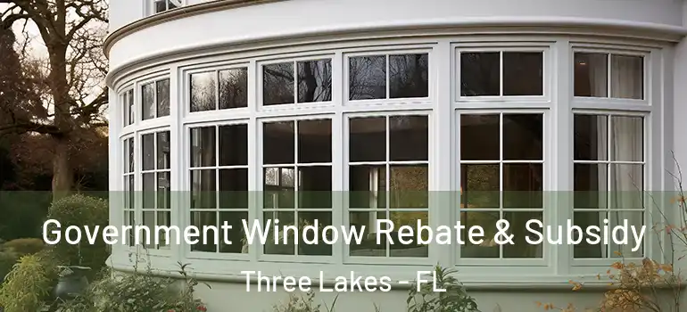 Government Window Rebate & Subsidy Three Lakes - FL