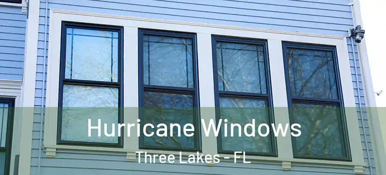 Hurricane Windows Three Lakes - FL