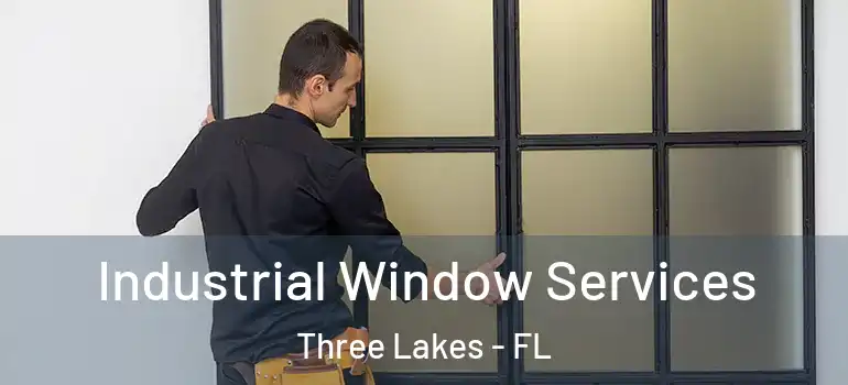 Industrial Window Services Three Lakes - FL