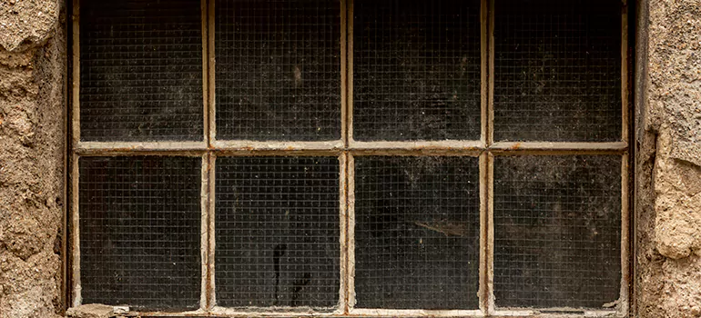 Traditional Double Front Doors in Three Lakes, FL