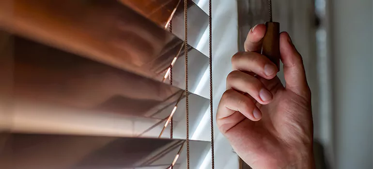 Double Roller Blinds in Three Lakes, FL