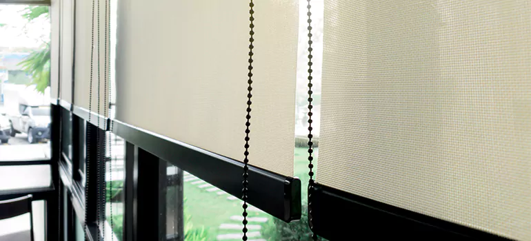 Blackout Window Shades in Three Lakes, FL