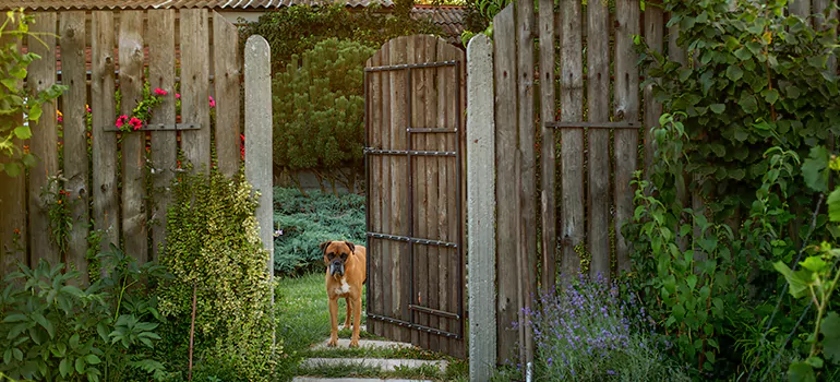 Winter Garden Garage Door Repair in Three Lakes,[location field=state]