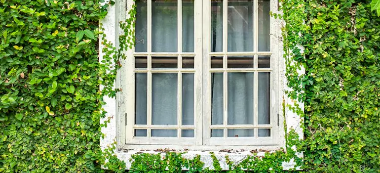 Garden Window Repair Near Me in Three Lakes, FL