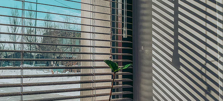 Commercial Window Blinds in Three Lakes, FL
