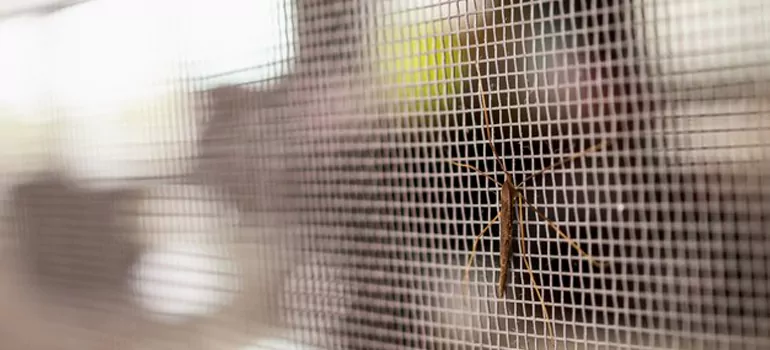 Repair Mosquito Mesh For Windows in Three Lakes, FL