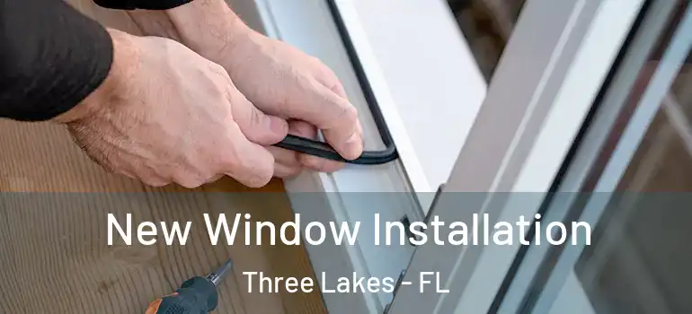 New Window Installation Three Lakes - FL