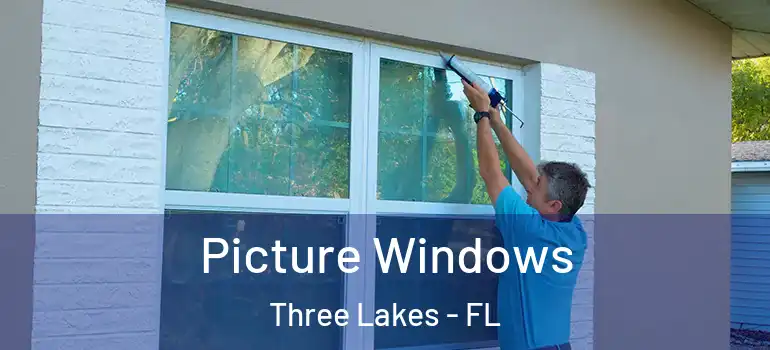 Picture Windows Three Lakes - FL