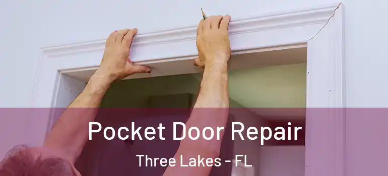 Pocket Door Repair Three Lakes - FL