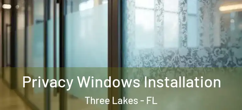 Privacy Windows Installation Three Lakes - FL