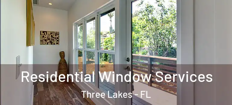 Residential Window Services Three Lakes - FL