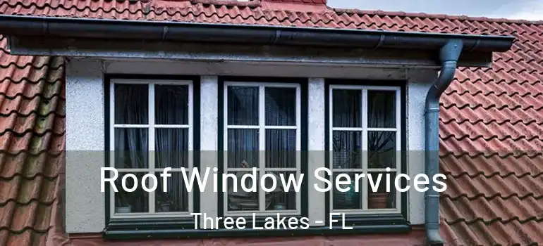 Roof Window Services Three Lakes - FL