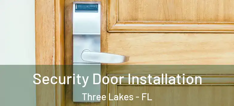 Security Door Installation Three Lakes - FL