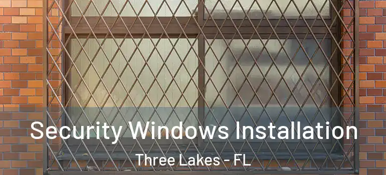 Security Windows Installation Three Lakes - FL