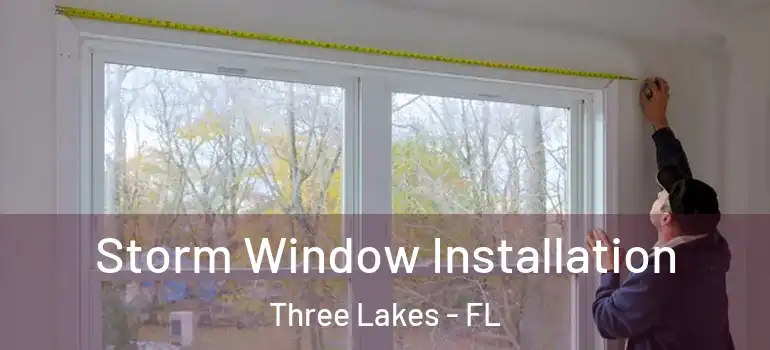 Storm Window Installation Three Lakes - FL