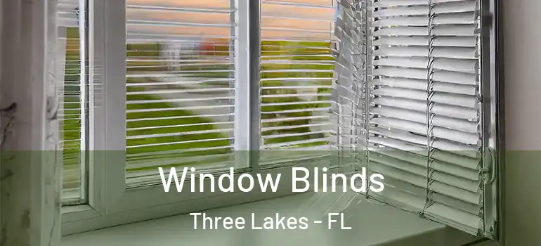 Window Blinds Three Lakes - FL