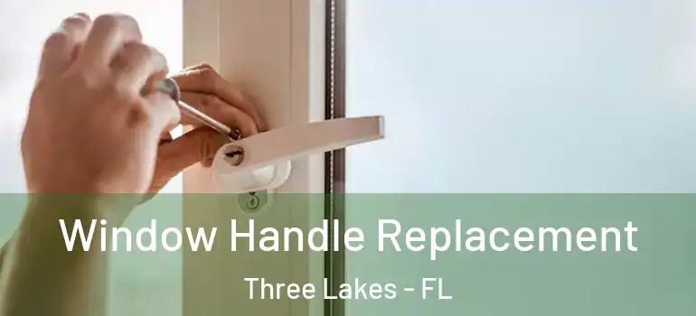 Window Handle Replacement Three Lakes - FL