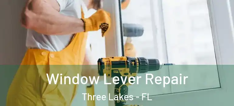 Window Lever Repair Three Lakes - FL