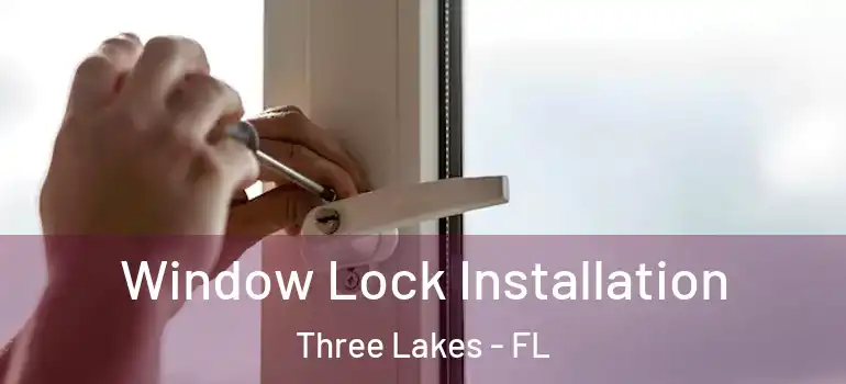 Window Lock Installation Three Lakes - FL