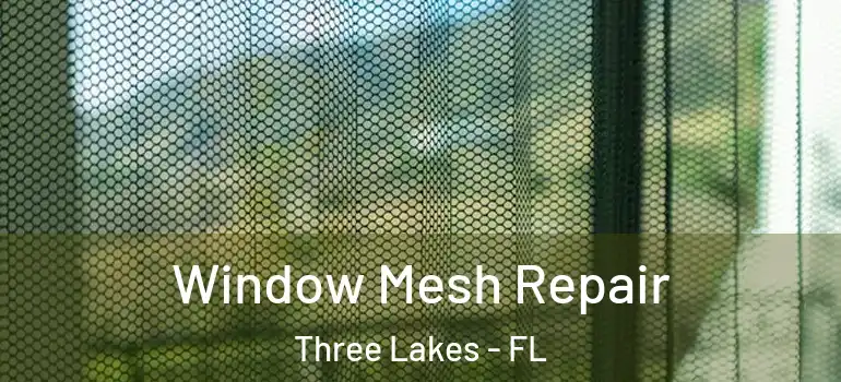 Window Mesh Repair Three Lakes - FL