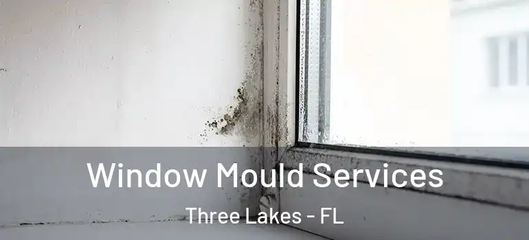 Window Mould Services Three Lakes - FL