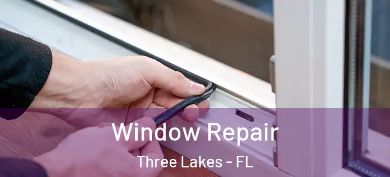 Window Repair Three Lakes - FL