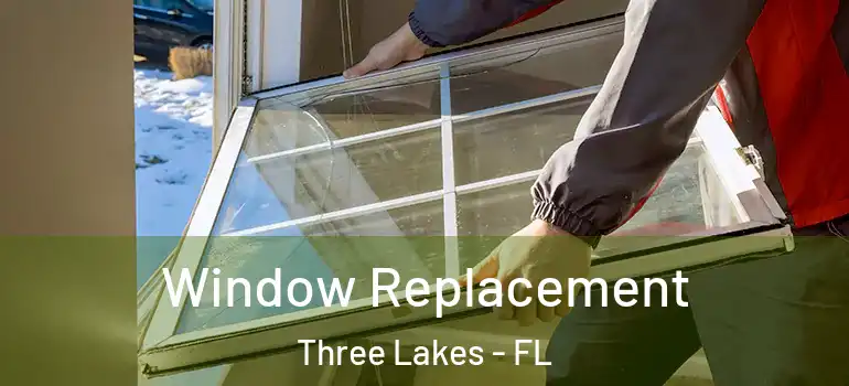Window Replacement Three Lakes - FL