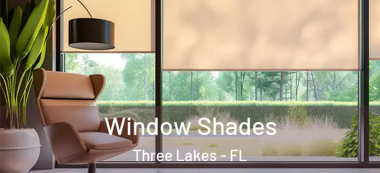 Window Shades Three Lakes - FL