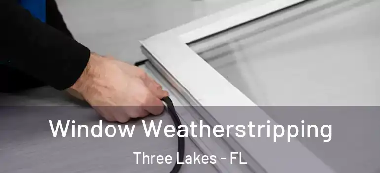 Window Weatherstripping Three Lakes - FL